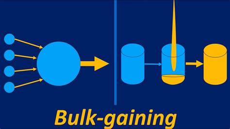 The Bulk Gaining Industry 